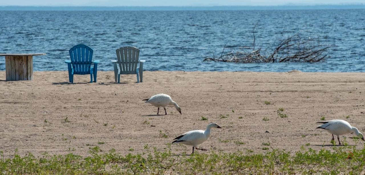 Domaine sur une plage Saint-Félicien Extérieur photo
